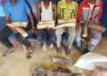 Quatre présumés trafiquants d’ivoire dont un greffier en chef vont comparaitre à Dolisie