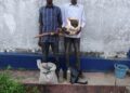 Lutte contre la délinquance faunique : Deux individus arrêtés avec du chanvre indien et une pointe d’ivoire à pointe d’ivoire