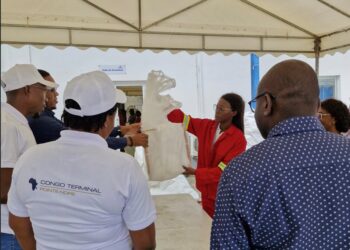 Lutte contre le paludisme : Congo Terminal distribue 1 000 000 moustiquaires imprégnées