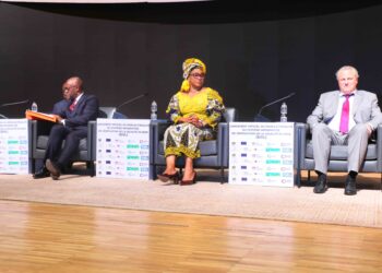 Numérisation et légalité du bois : un pas décisif dans la gestion durable des forêts au Congo.