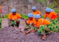 Brazzaville : la BCI transforme la vie des femmes casseuses de pierres à Kombé