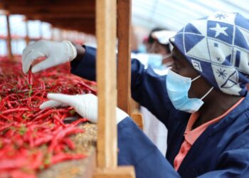 Zéro droit de douane : la Chine et l&rsquo;Afrique vers une proximité sans précédent