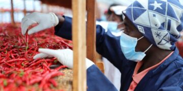 Zéro droit de douane : la Chine et l&rsquo;Afrique vers une proximité sans précédent