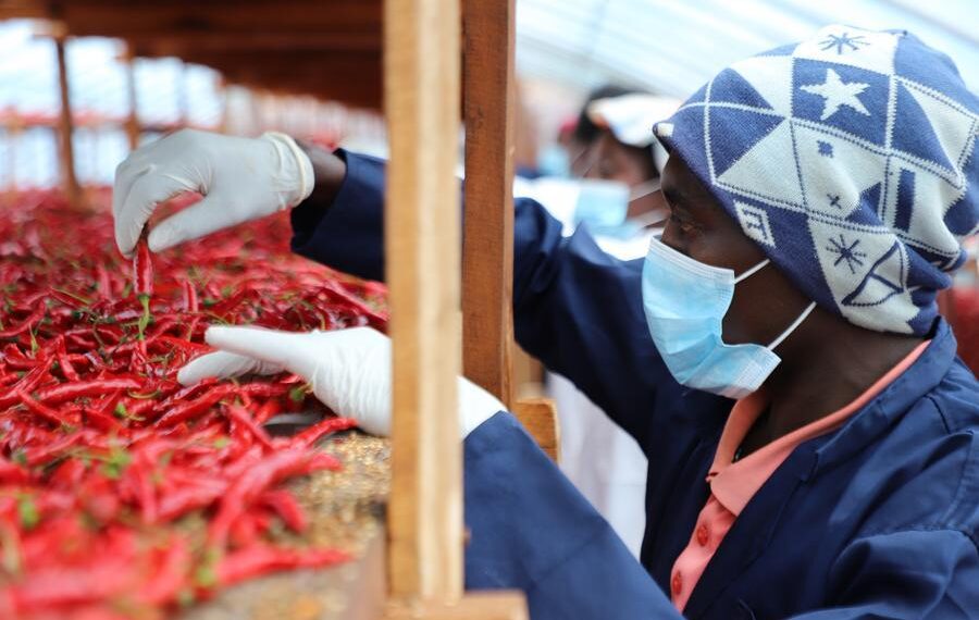 Zéro droit de douane : la Chine et l&rsquo;Afrique vers une proximité sans précédent
